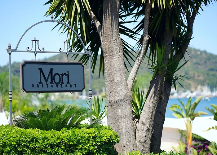 Yacht Classic - Boutique Class